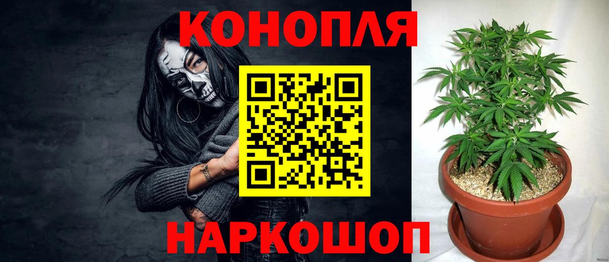 Бошки Шишки план Ипатово